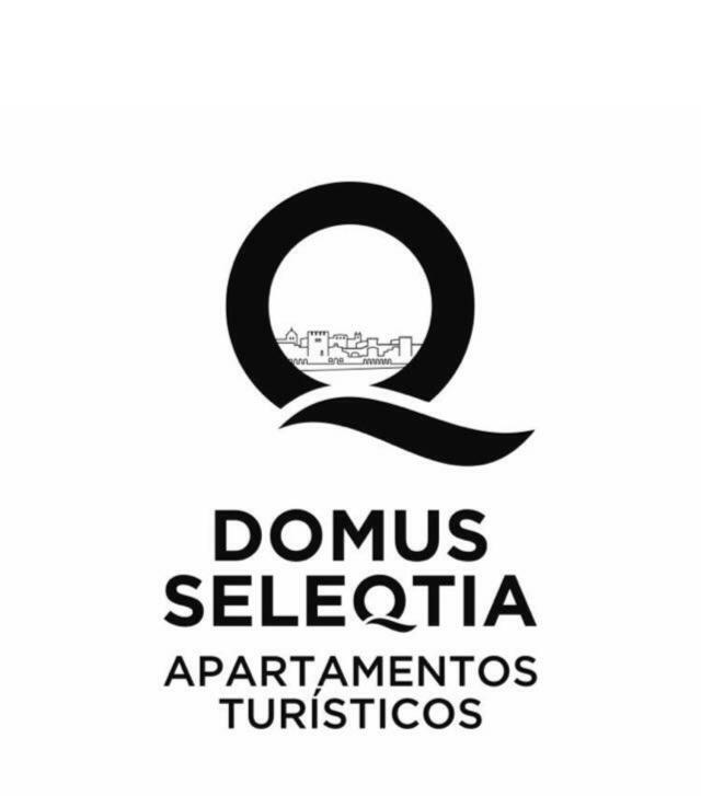 Domus Seleqtia Plaza De Santiago Apartment Caceres Exterior photo